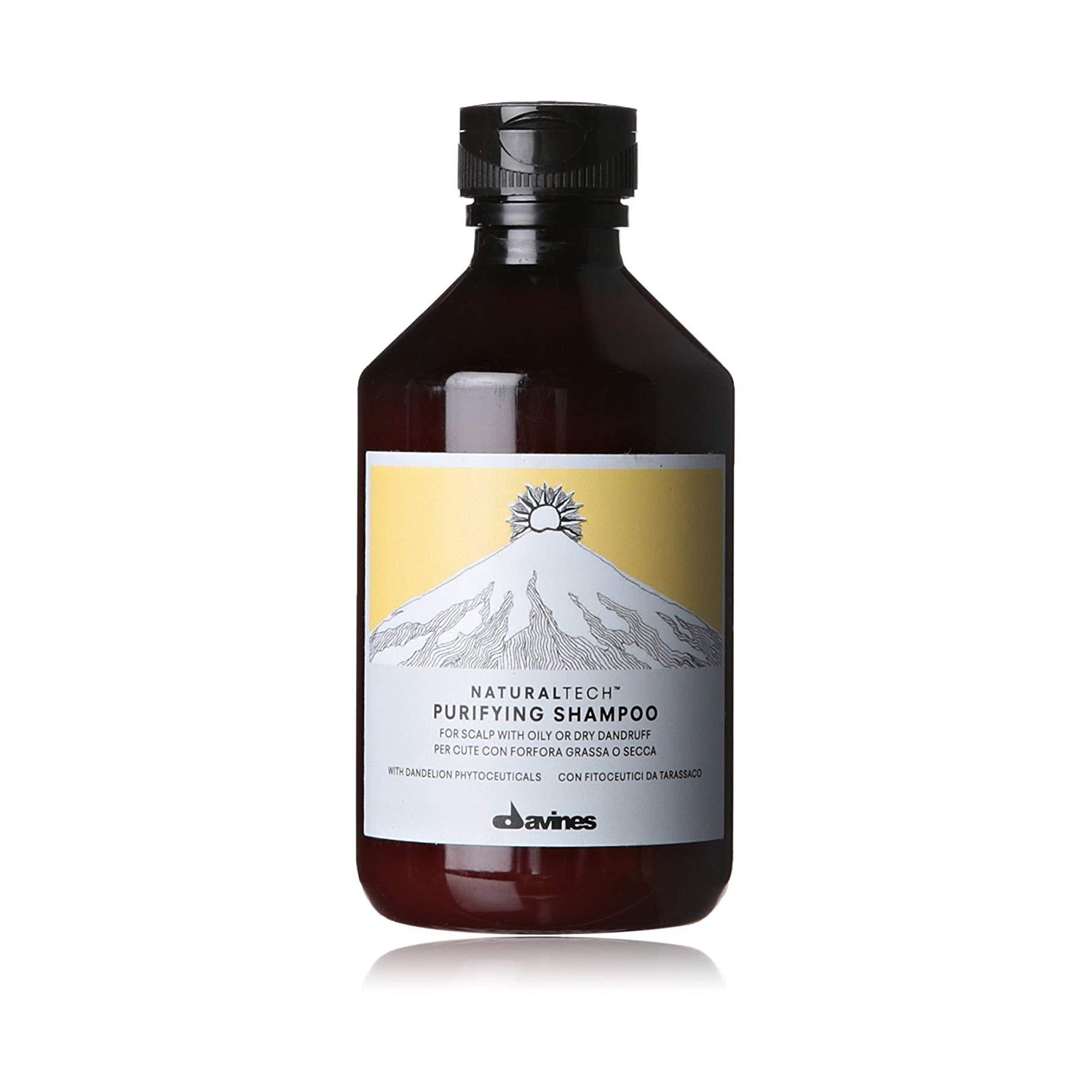 Davines Naturaltech Purifying Shampoo